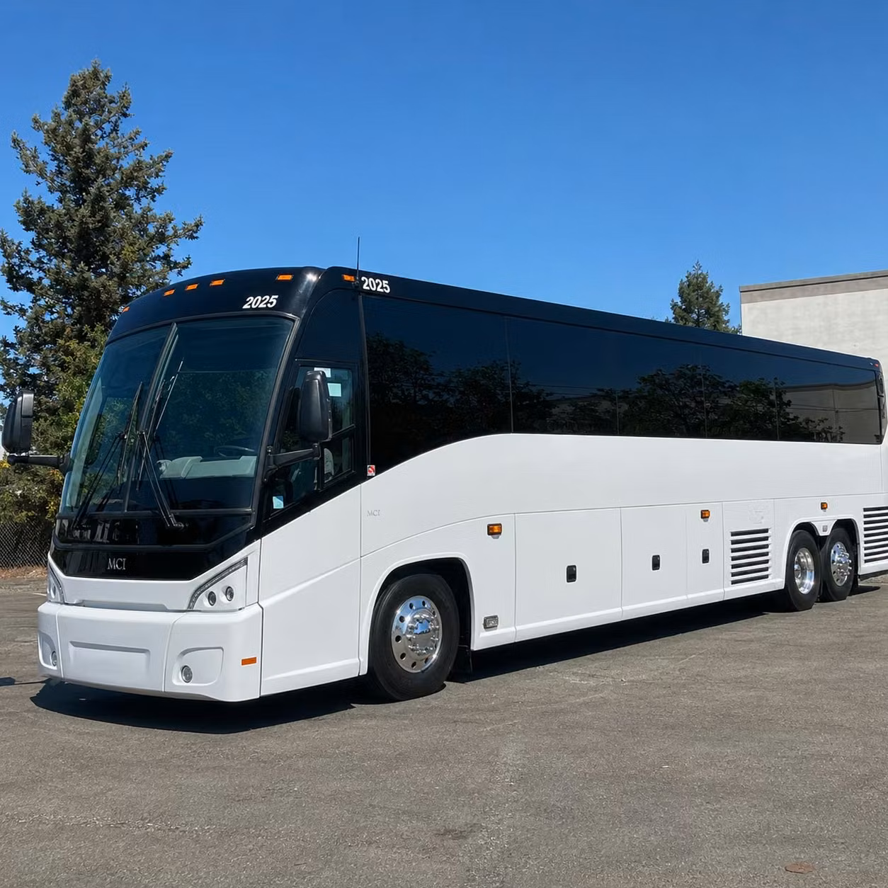 abilenecharterbus com is ready to help abilene sports teams travel in style
